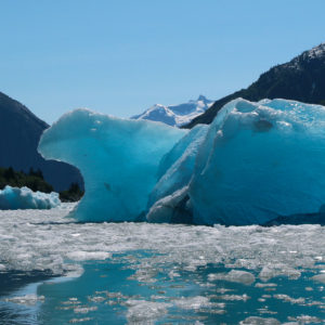 Large Blue Iceberg Polar Bear SHaped
