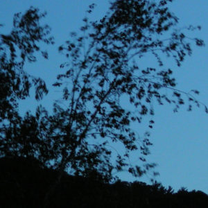 Half Moon over Field